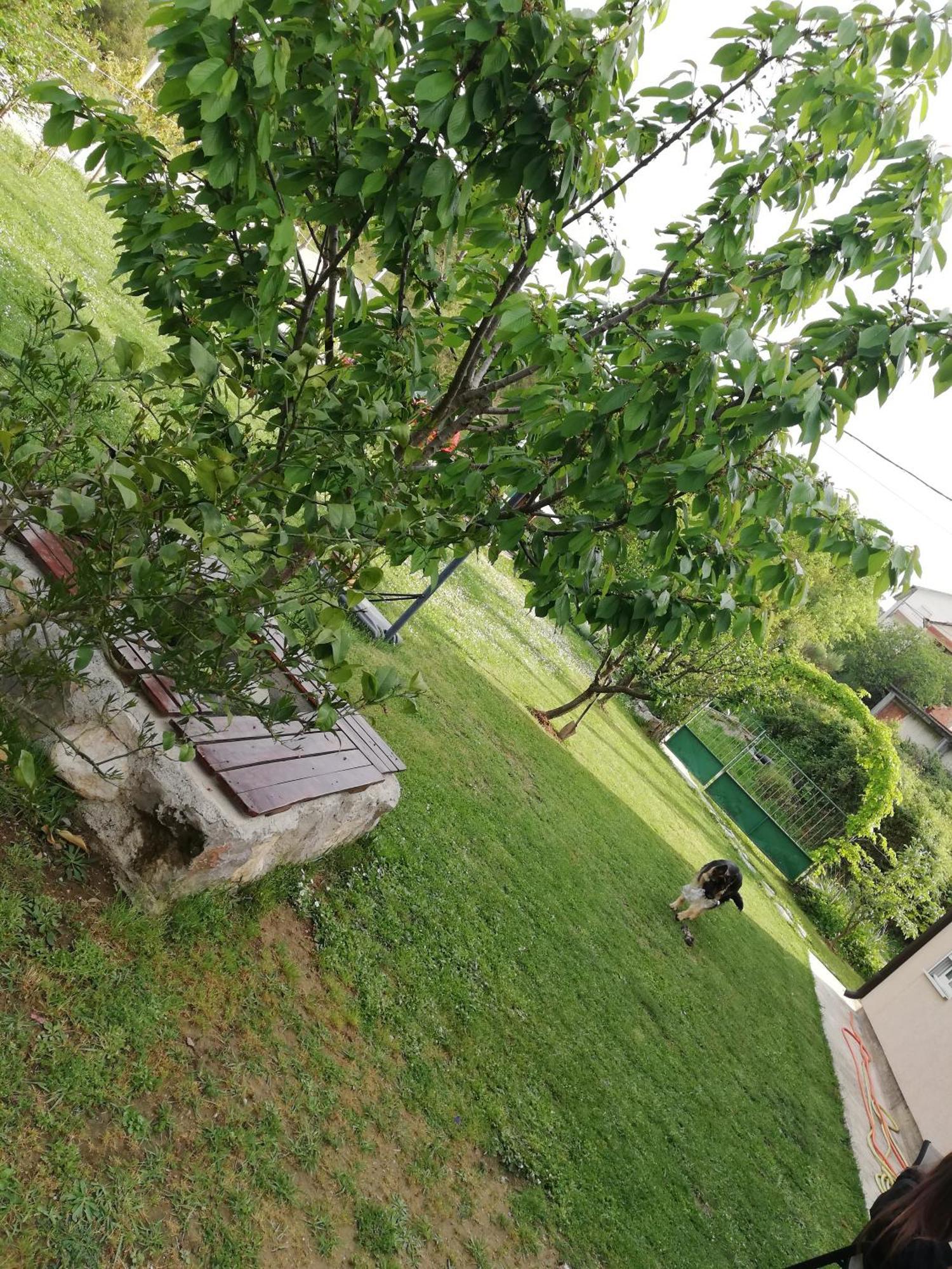 Apartmani Emma Котор Номер фото
